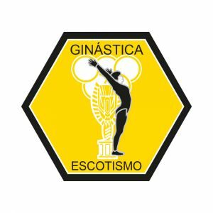 Distintivo de Especialidade - GINÁSTICA