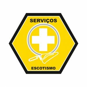 Distintivo de Especialidade - SERVIÇOS