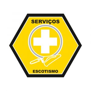 Distintivo de Especialidade - SERVIÇOS