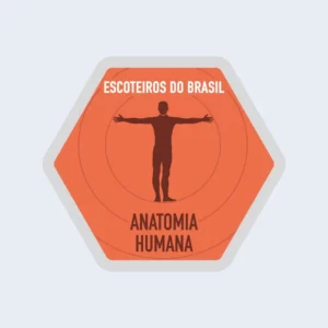 Distintivo de Especialidade – Anatomia Humana